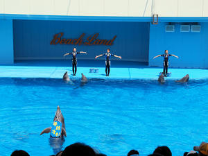 20111011_69shuusei.jpg