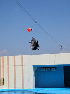 20111011_71shuusei.jpg