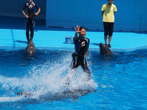 20111011_91shuusei.jpg
