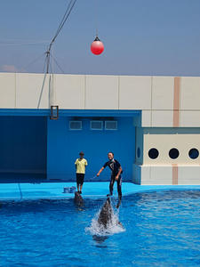 20111011_93shuusei.jpg
