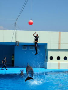 20111011_100shuusei.jpg