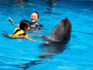 20111011_118shuusei.jpg