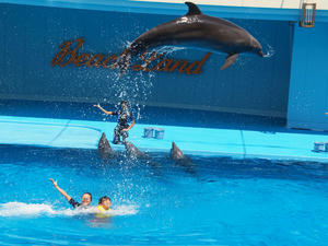 20111011_123shuusei.jpg