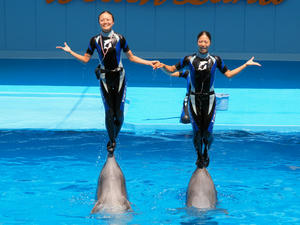 20111011_145shuusei.jpg