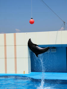 20111011_168shuusei.jpg