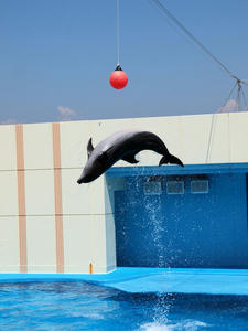 20111011_169shuusei.jpg