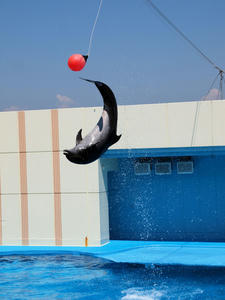 20111011_170shuusei.jpg