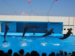 20111011_173shuusei.jpg