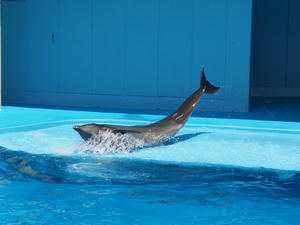 20111011_180shuusei.jpg