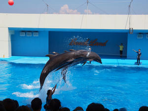 20111011_188shuusei.jpg