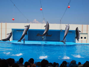 20111011_202shuusei.jpg