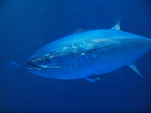 20111011_502shuusei.jpg