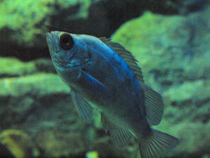 20111011_522shuusei.jpg