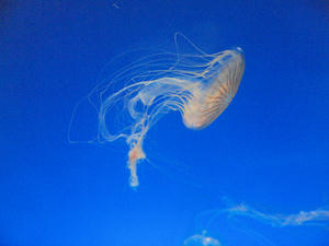 20111011_576shuusei.jpg
