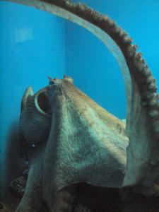 20111011_600shuusei.jpg
