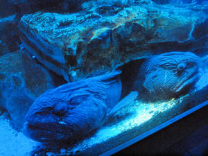 20111011_621shuusei.jpg
