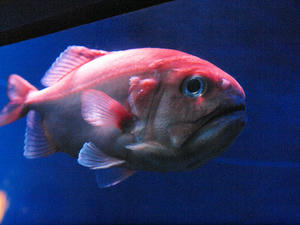 20111011_650shuusei.jpg