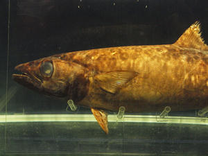 20111011_667shuusei.jpg