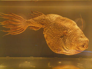 20111011_669shuusei.jpg