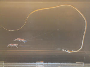 20111011_671shuusei.jpg