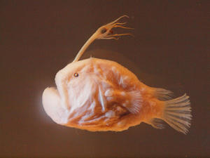 20111011_690shuusei.jpg