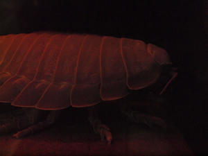20111011_719shuusei.jpg