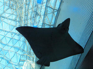 20111011_752shuusei.jpg