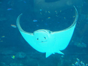 20111011_760shuusei.jpg