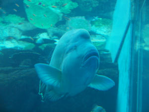 20111011_778shuusei.jpg