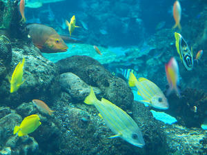 20111011_798shuusei.jpg