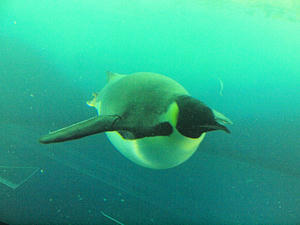 20111011_960shuusei.jpg
