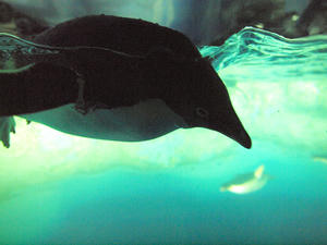 20111011_965shuusei.jpg