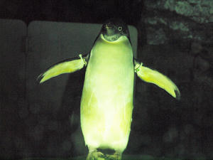 20111011_989shuusei.jpg