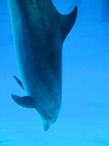 20111011_1142shuusei.jpg