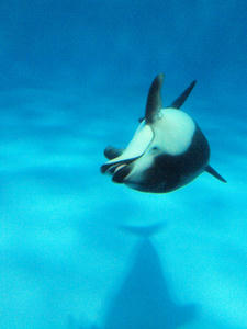 20111011_1220shuusei.jpg