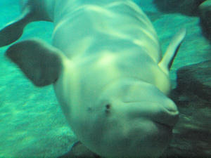 20111011_465shuusei.jpg
