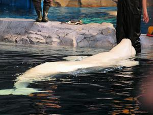 20111011_255shuusei.jpg