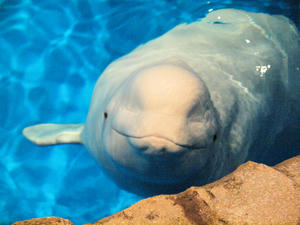 20111011_1170shuusei.jpg