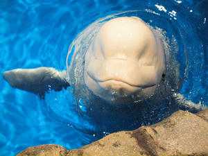 20111011_1174shuusei.jpg
