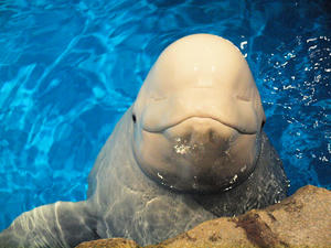 20111011_1189shuusei.jpg