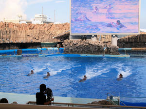 20111011_317shuusei.jpg