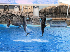 20111011_384shuusei.jpg