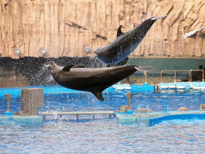 20111011_389shuusei.jpg