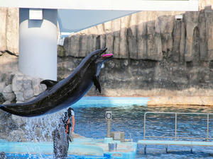 20111011_414shuusei.jpg