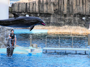 20111011_415shuusei.jpg