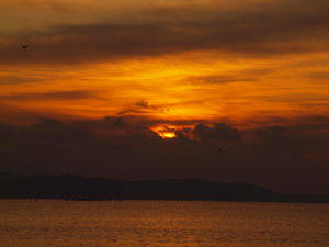 20120104_46shuusei.jpg