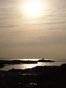 20120104_128shuusei.jpg