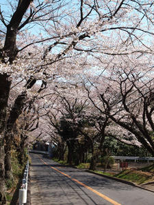 P4080143shuusei.jpg