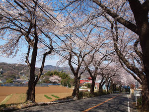 P4080167shuusei.jpg