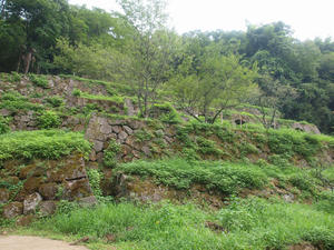 257shuusei.jpg